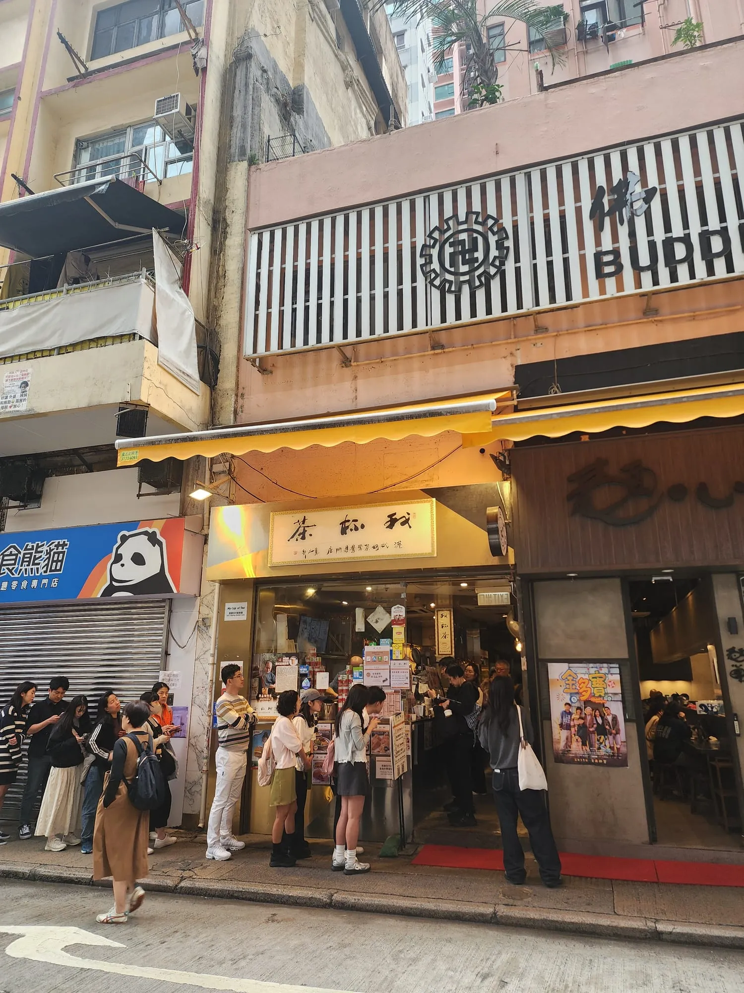 마이컵오브티